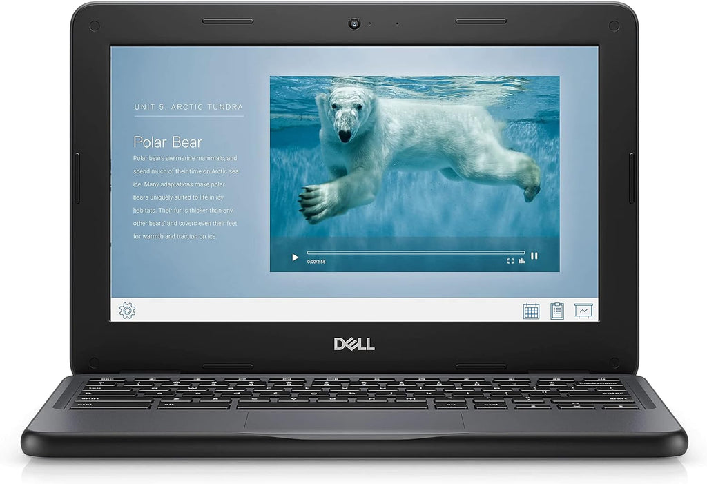 Chromebook Dell 11 3100 11,6 pouces - 1366 x 768 - Celeron N4020 - 4 Go de RAM - 16 Go de mémoire flash - Chrome OS - Carte graphique Intel HD - Clavier anglais (États-Unis) - Bluetooth (Reconditionné)