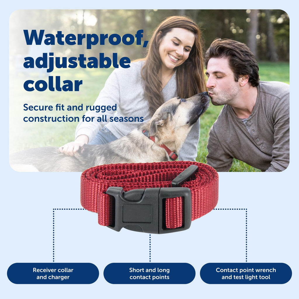 Collier récepteur de clôture à connectivité sans fil PETSAFE Stay & Play pour chiens