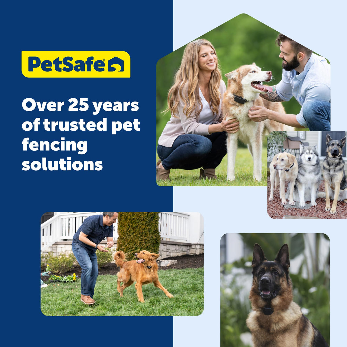 Collier récepteur à connectivité sans fil PETSAFE Stay & Play - Étanche