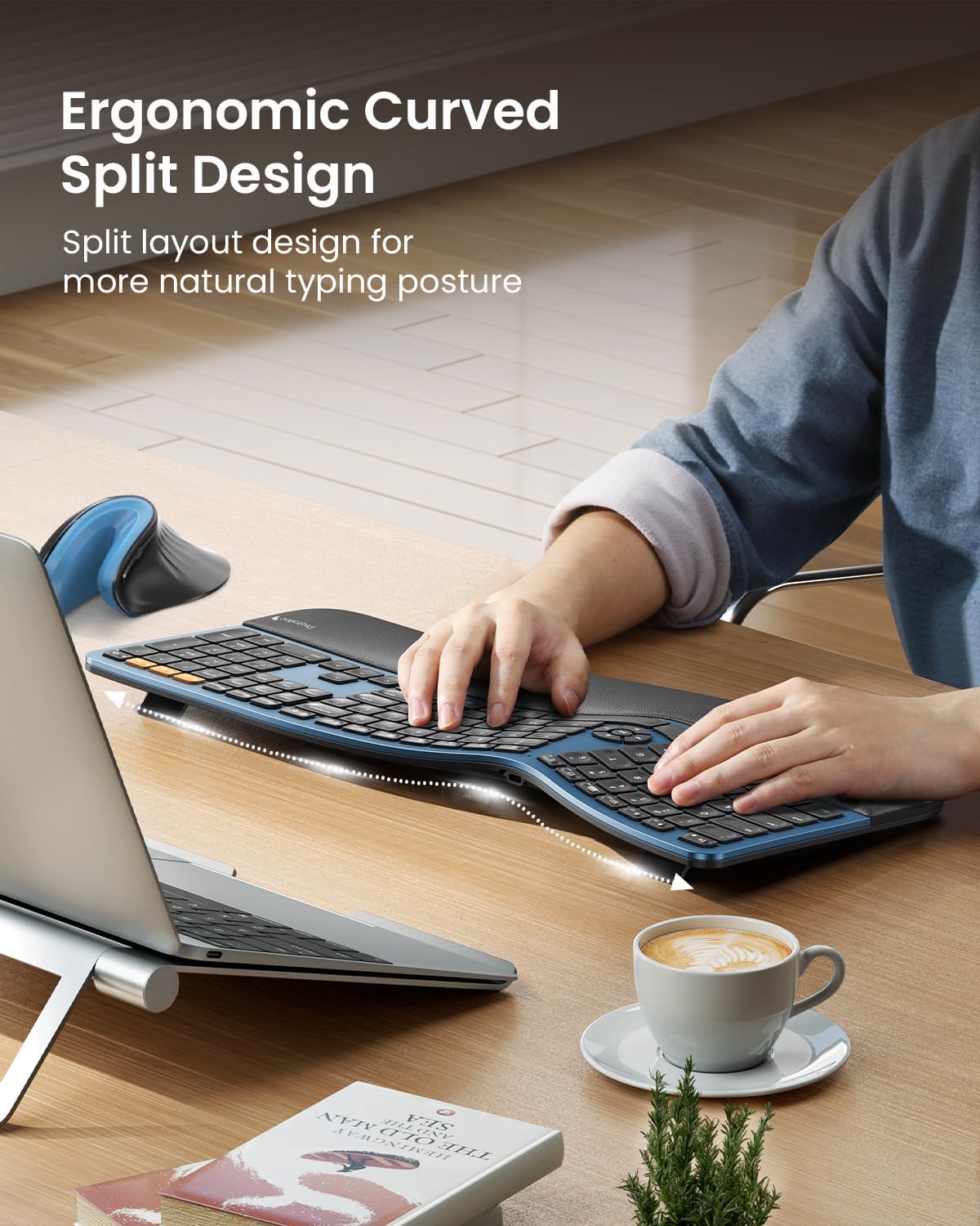 Clavier ergonomique Bluetooth rétroéclairé ProtoArc EK01 Plus, clavier à connectivité sans fil complet divisé doté de double connectivité Bluetooth et USB, repose-poignets rembourré, rechargeable, compatible Windows/Mac/Android, bleu