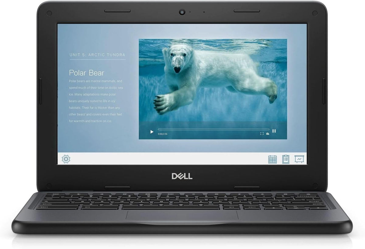 Chromebook Dell 11 3100 11,6 pouces - 1366 x 768 - Celeron N4020 - 4 Go de RAM - 16 Go de mémoire flash - Chrome OS - Carte graphique Intel HD - Clavier anglais (États-Unis) - Bluetooth (Reconditionné)