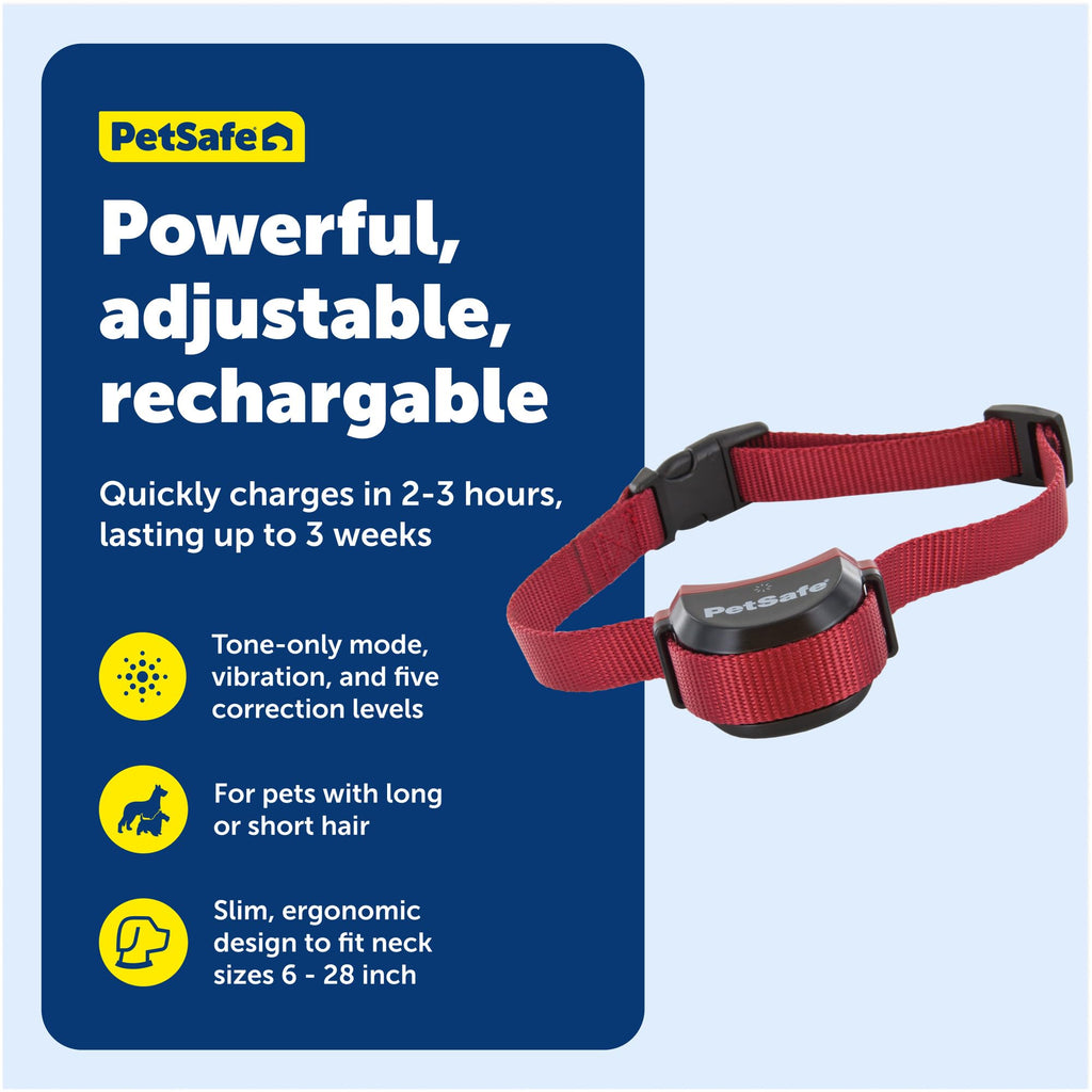 Collier récepteur de clôture à connectivité sans fil PETSAFE Stay & Play pour chiens