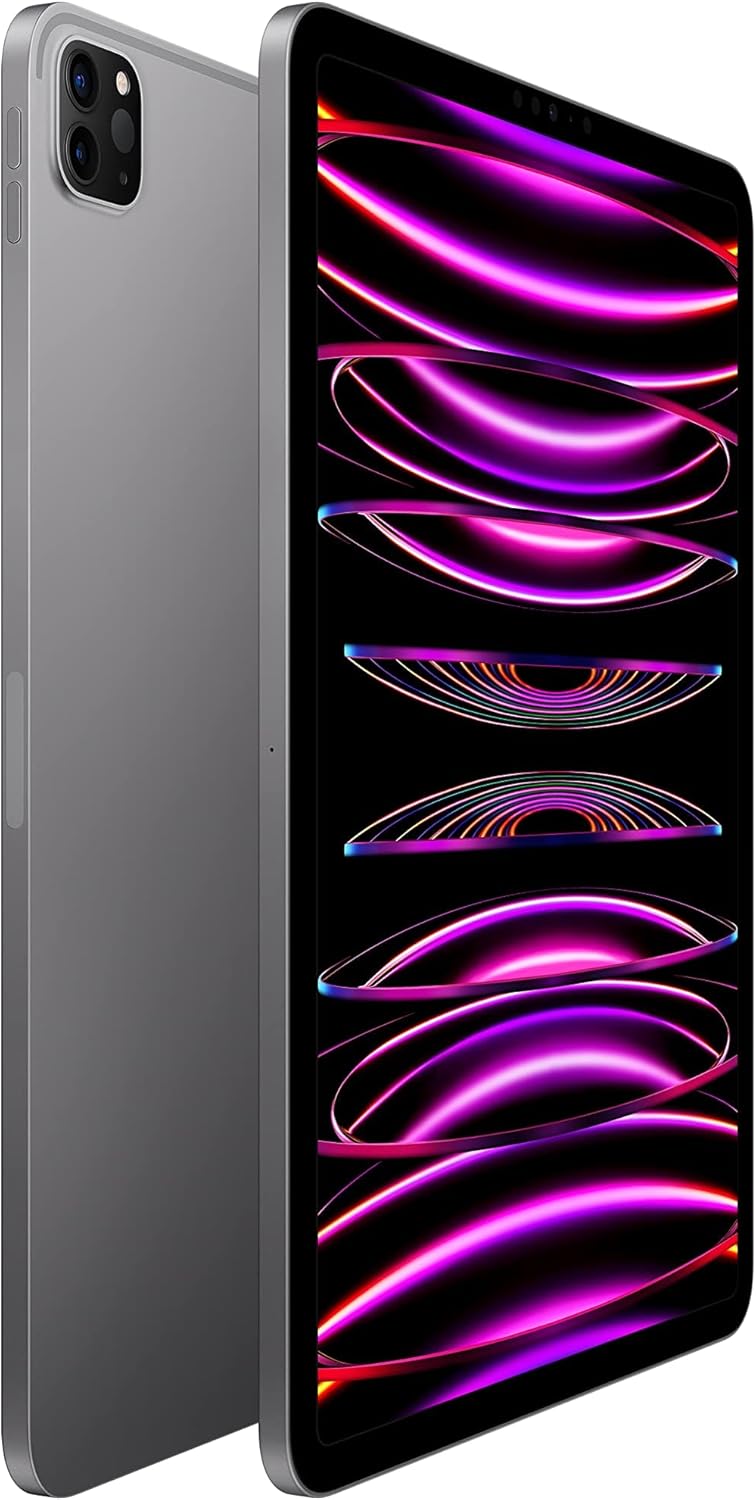 Apple iPad Pro 11 pouces Wi-Fi 256 Go Gris sidéral (reconditionné) pratique