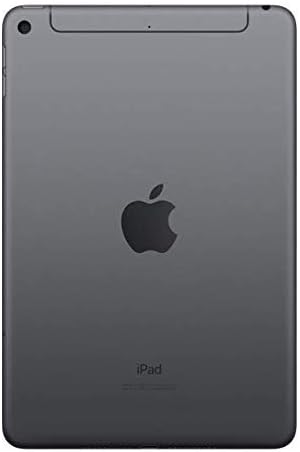 Apple iPad mini 5 256 Go - Wi-Fi + Cellular - Gris sidéral (Reconditionné Premium) pratique