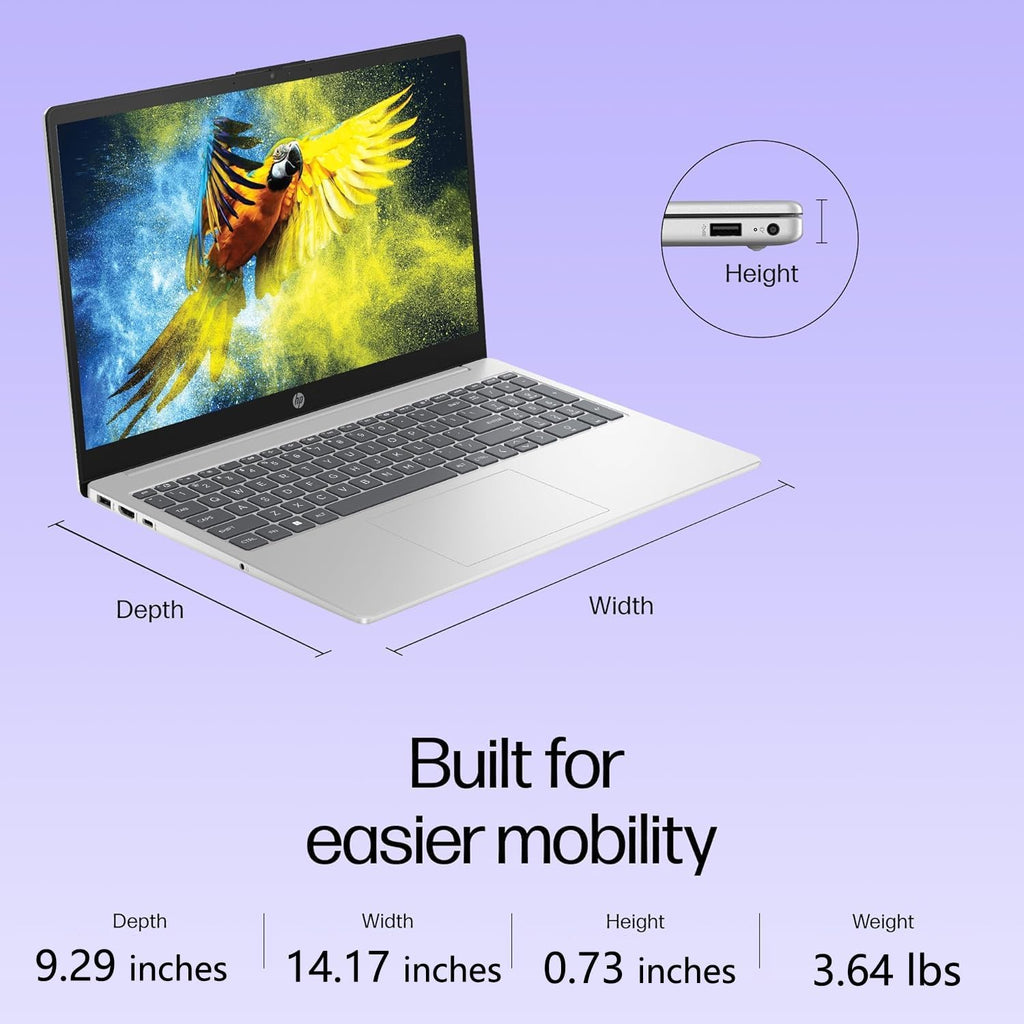 Ordinateur compact portable HP Pavilion 15,6" FHD, 16 Go de RAM DDR4, SSD PCIe 240 Go, processeur Intel N100, Wi-Fi 6, Bluetooth, webcam, port USB Type-C, licence à vie pour Office 365, Windows 11, RJ45, gris clair