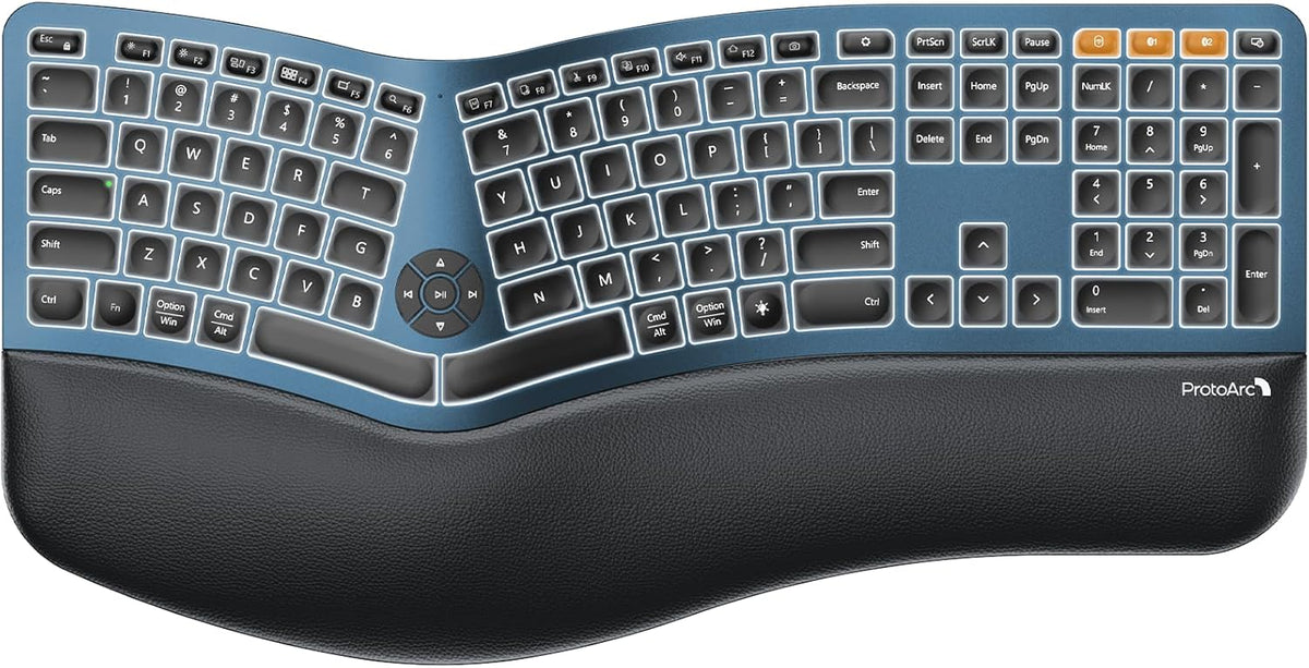 Clavier ergonomique Bluetooth rétroéclairé ProtoArc EK01 Plus, clavier à connectivité sans fil complet divisé doté de double connectivité Bluetooth et USB, repose-poignets rembourré, rechargeable, compatible Windows/Mac/Android, bleu