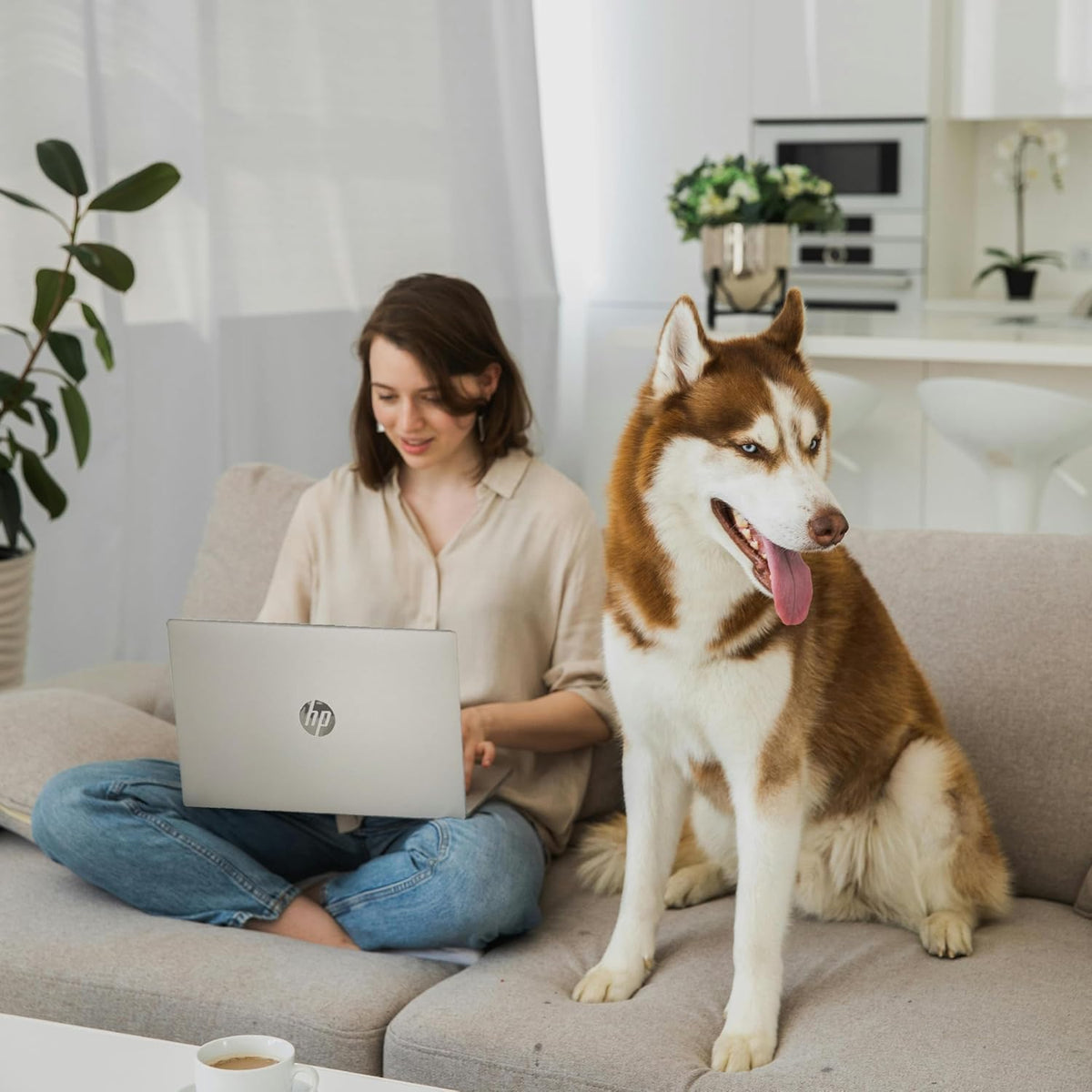 Ordinateur compact portable professionnel HP 15,6 pouces avec Microsoft 365 • Édition 2026 • 8 Go de RAM • Copilot AI • Processeur Intel N100 quadricœur • 1,1 To de stockage (1 To OneDrive + 128 Go SSD) • Windows 11 • Sans souris