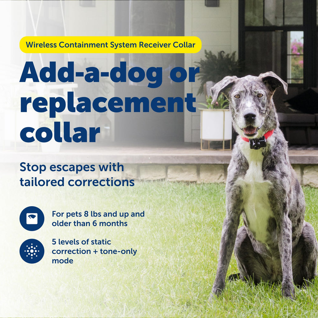 Collier récepteur du système de confinement à connectivité sans fil PETSAFE pour animaux de compagnie