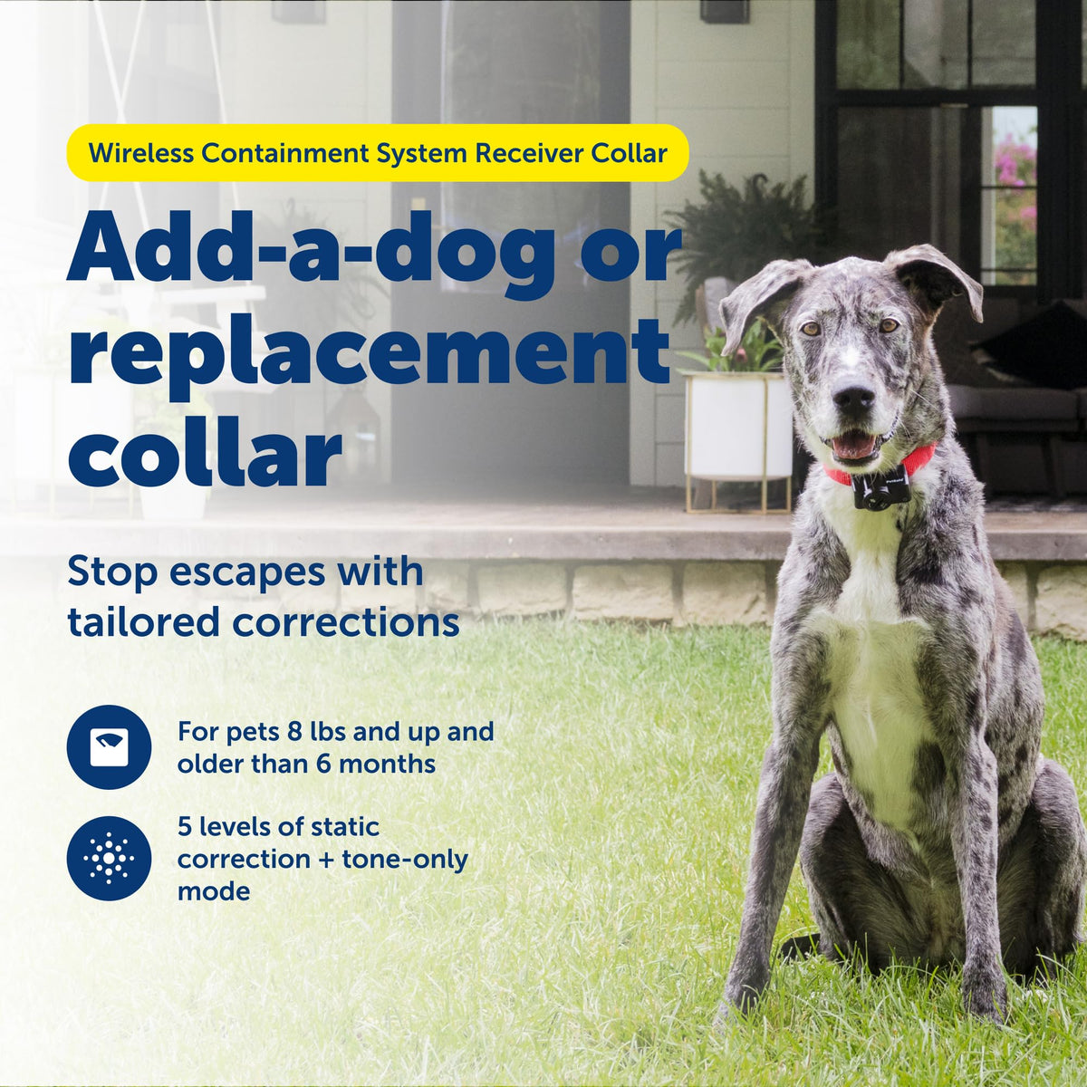Collier récepteur du système de confinement à connectivité sans fil PETSAFE pour animaux de compagnie