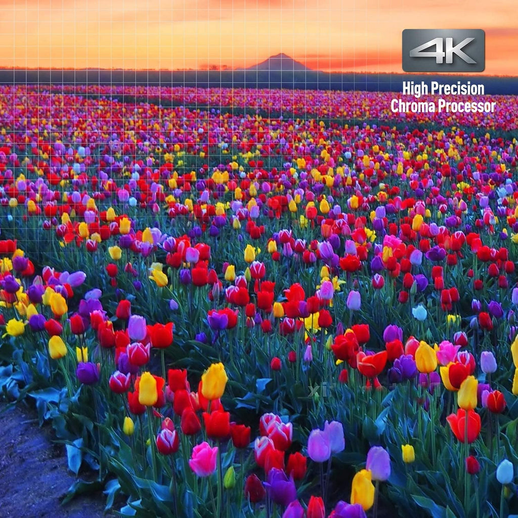Lecteur Blu-ray/DVD 4K Panasonic doté de Dolby Vision et HDR10+, lecture vidéo Ultra HD de qualité soignée, audio haute résolution et assistance vocale - DP-UB820-K (Noir)