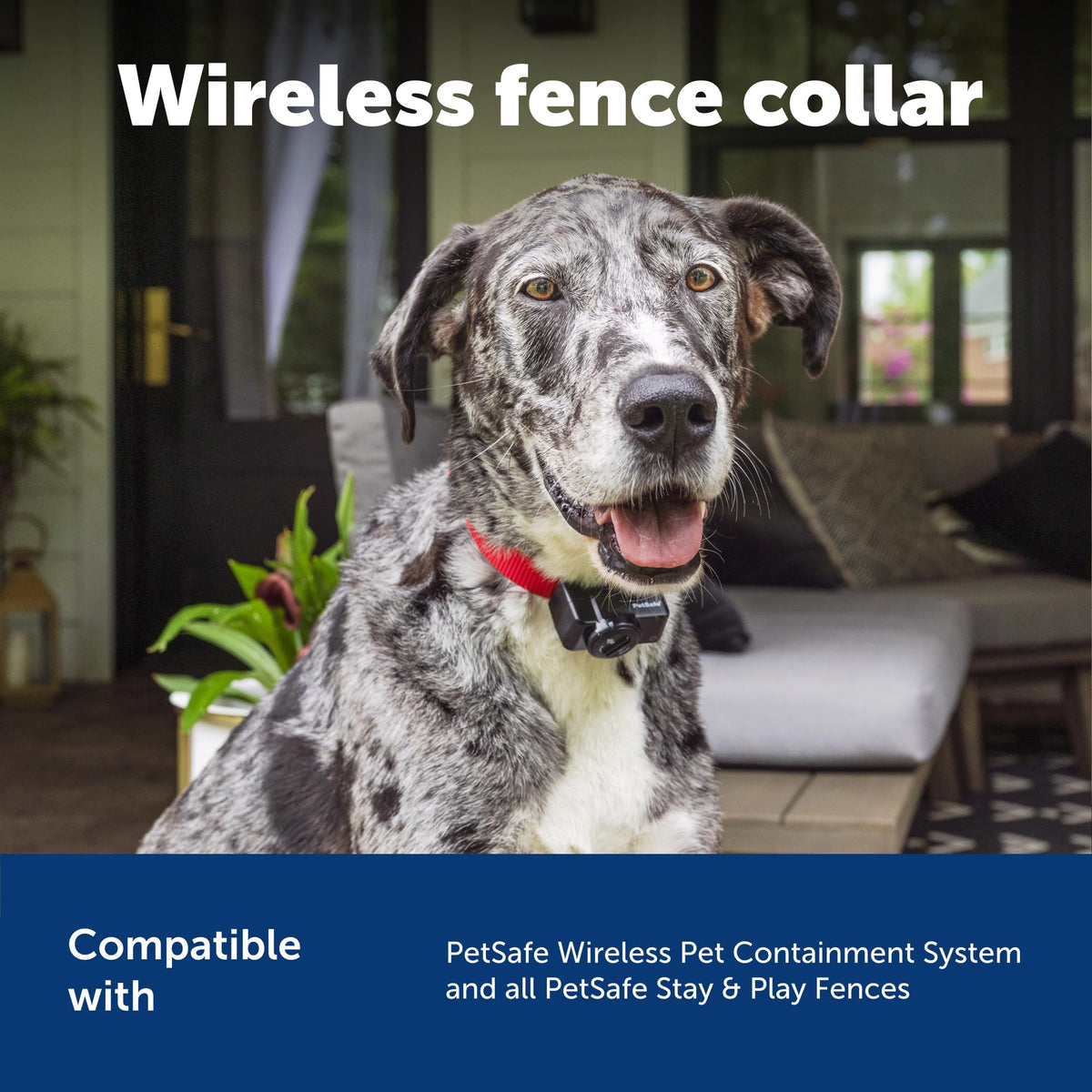 Collier récepteur du système de confinement à connectivité sans fil PETSAFE pour animaux de compagnie