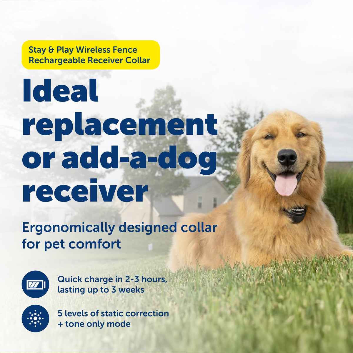 Collier récepteur à connectivité sans fil PETSAFE Stay & Play - Étanche