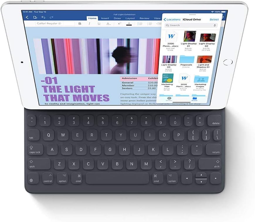 iPad Apple 2019 (10,2 pouces, Wi-Fi, 32 Go) - Gris sidéral (Reconditionné Premium) pratique