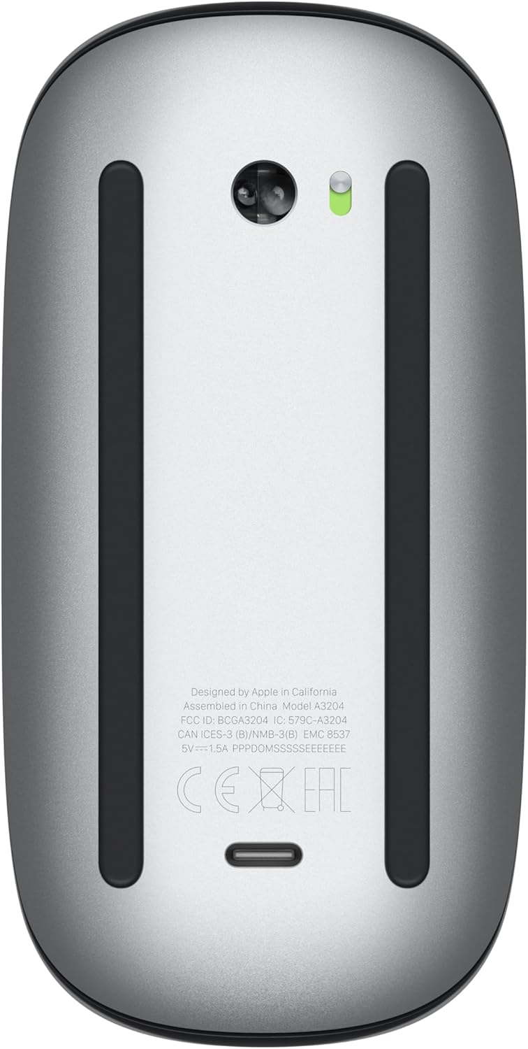 Souris Apple Magic Mouse - Surface multitouch noire – Modèle pratique
