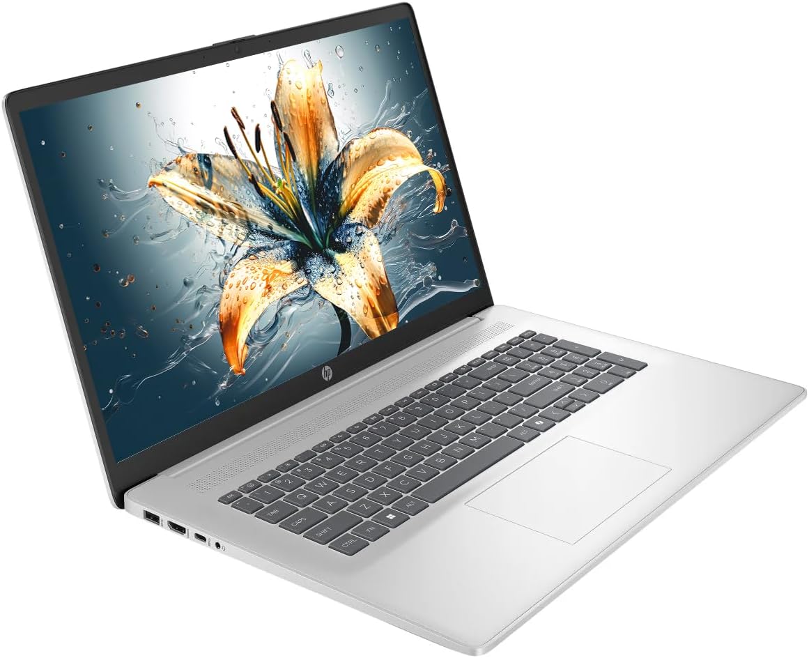 Ordinateur compact portable HP 17 : écran tactile HD+ LED antireflet de 17,3 pouces, Windows 11, 32 Go de RAM, SSD de 1 To, processeur AMD Ryzen 5, carte graphique AMD Radeon, pavé numérique, écouteurs NLY, couleur argent.