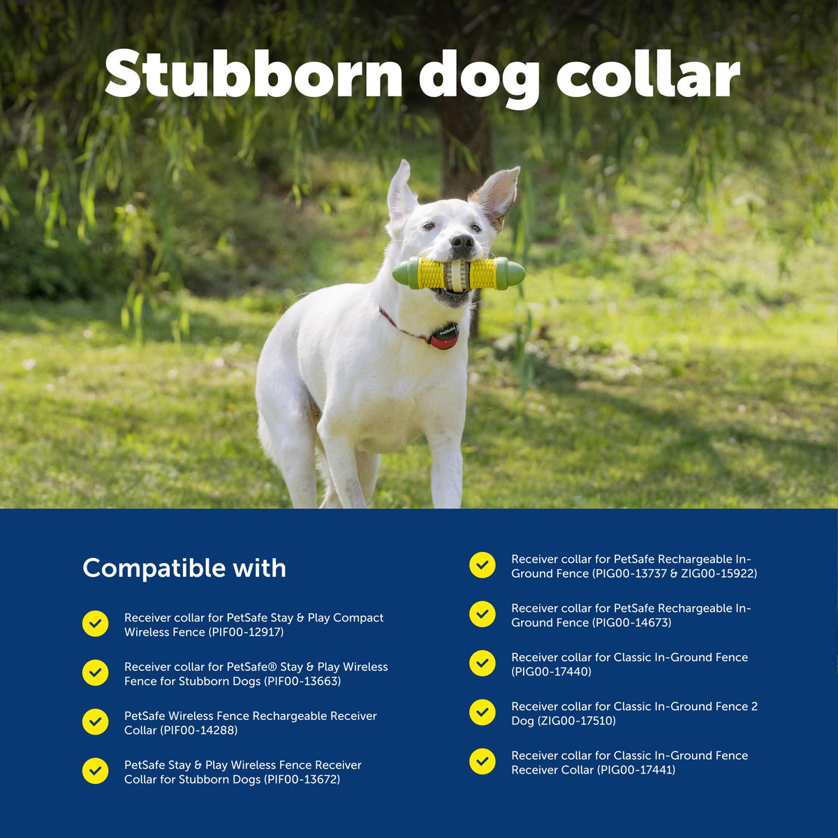 Collier récepteur de clôture à connectivité sans fil PETSAFE Stay & Play pour chiens