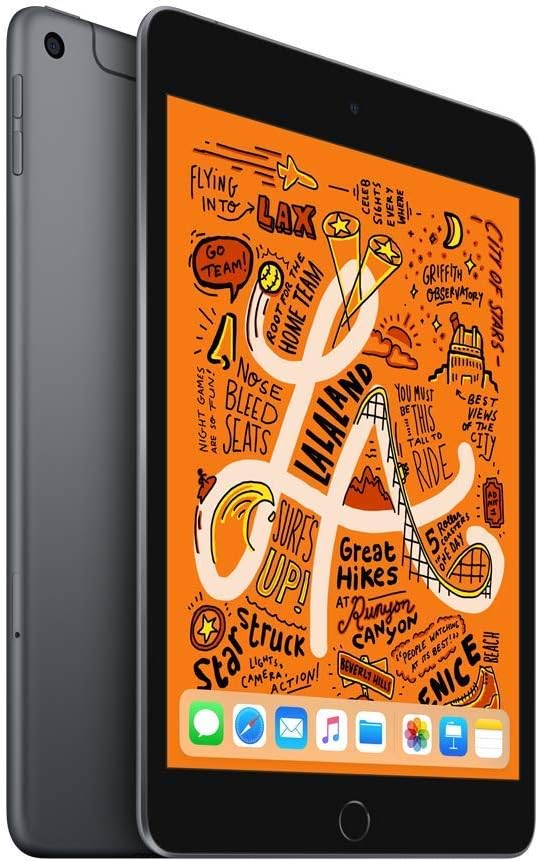 Apple iPad mini 5 256 Go - Wi-Fi + Cellular - Gris sidéral (Reconditionné Premium) pratique
