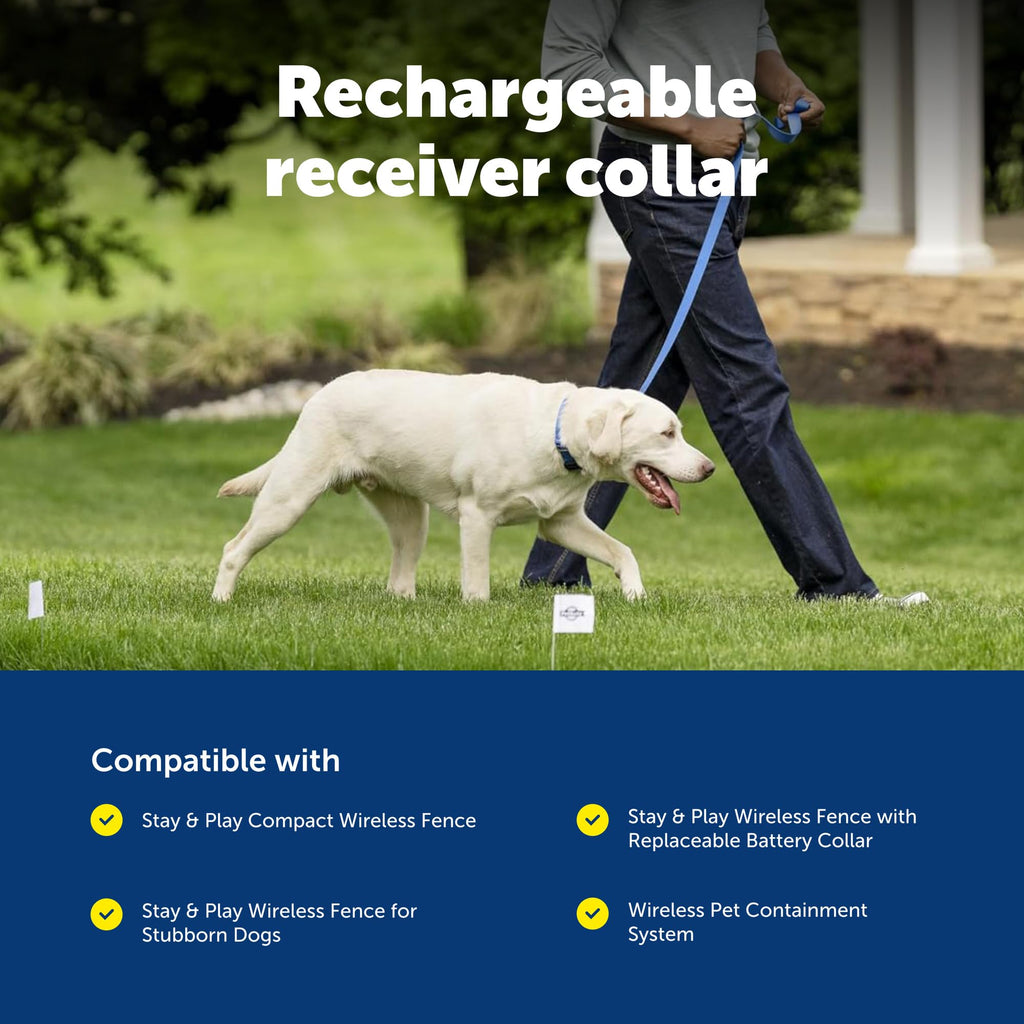 Collier récepteur à connectivité sans fil PETSAFE Stay & Play - Étanche