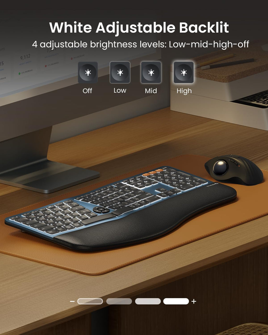 Clavier ergonomique Bluetooth rétroéclairé ProtoArc EK01 Plus, clavier à connectivité sans fil complet divisé doté de double connectivité Bluetooth et USB, repose-poignets rembourré, rechargeable, compatible Windows/Mac/Android, bleu
