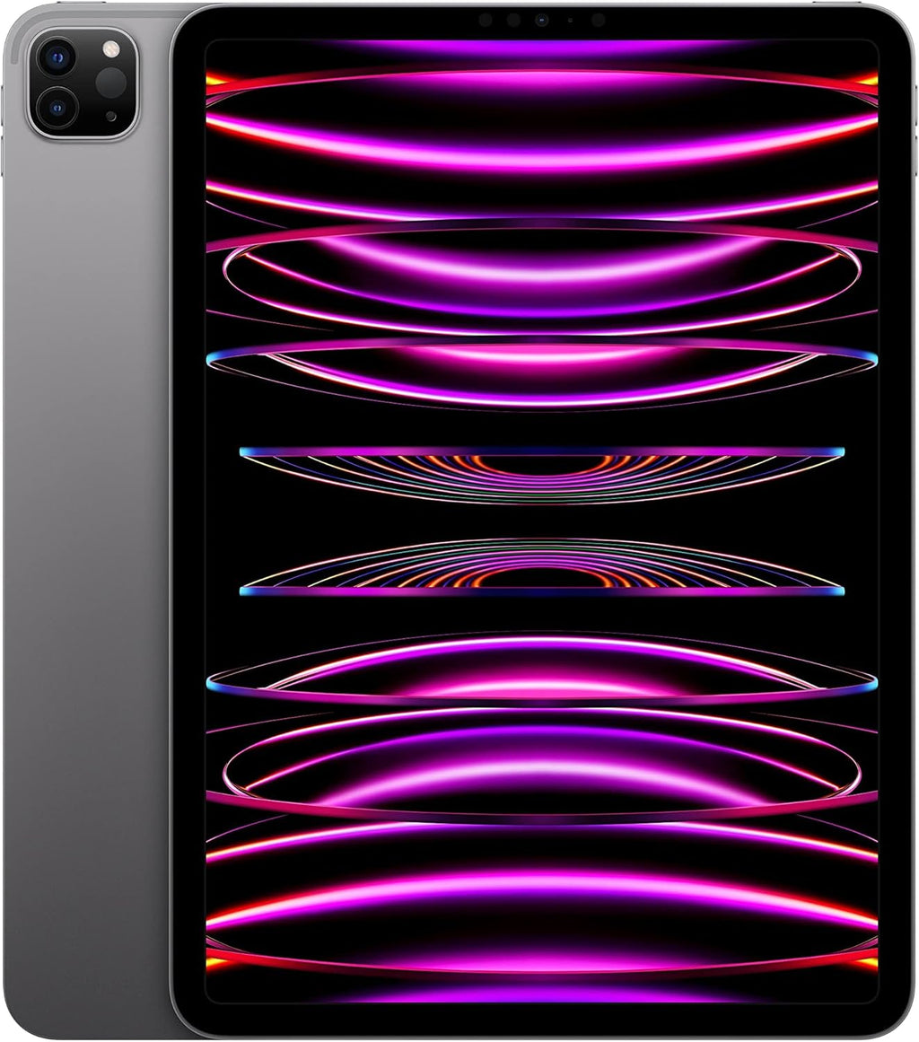 Apple iPad Pro 11 pouces Wi-Fi 256 Go Gris sidéral (reconditionné) pratique