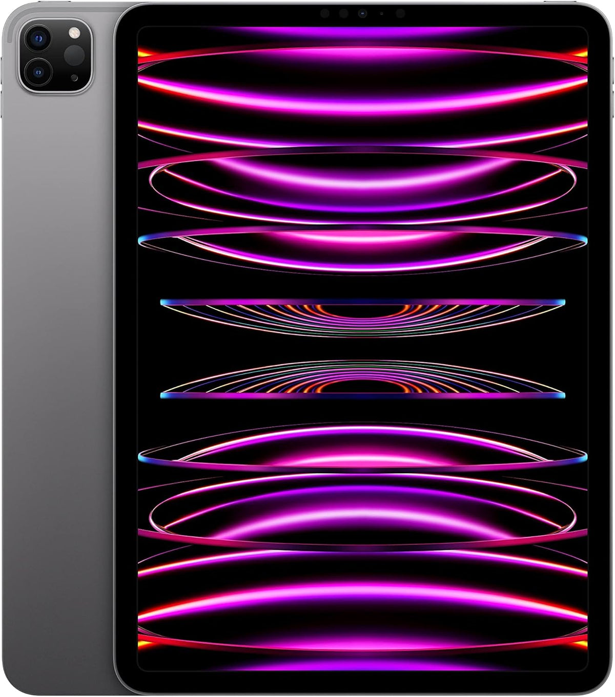 Apple iPad Pro 11 pouces Wi-Fi 256 Go Gris sidéral (reconditionné) pratique